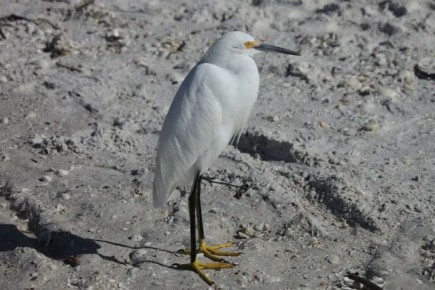 Как внутренние мотивы формируют наше поведение: взгляд на повседневные решения