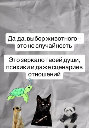 ��� ������� � ��� ����� �������: ����������� ��������������� �������