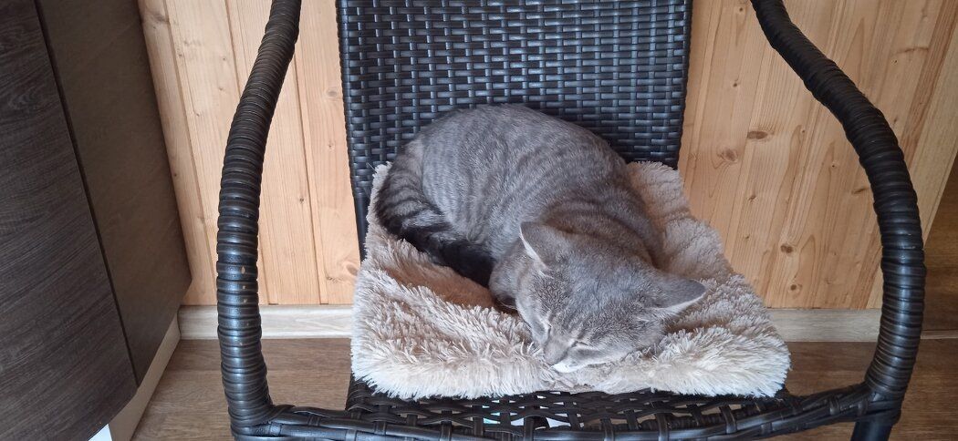 ������� ��� ��� ��������� ������� ��� ������� � ��������