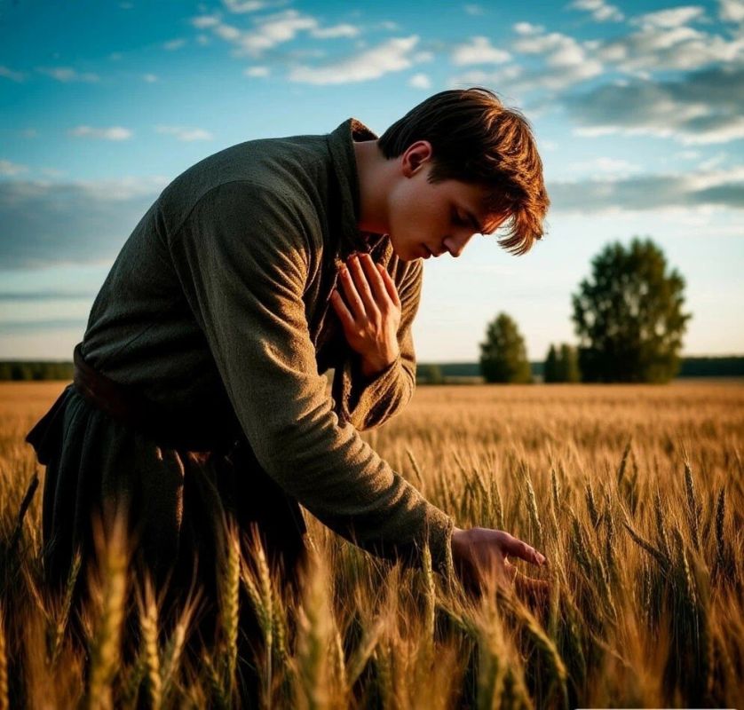 �����������: ��� ������ �� ������ ������� ����� �������� � �����