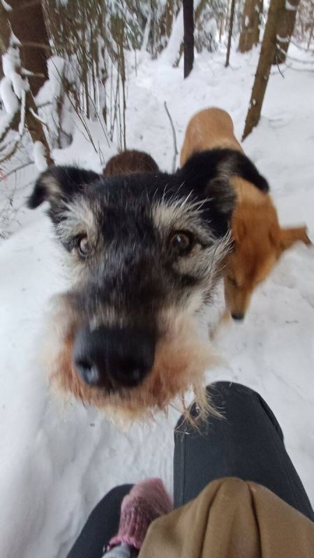 �������� ����: ������� �������� � ����� � ����������