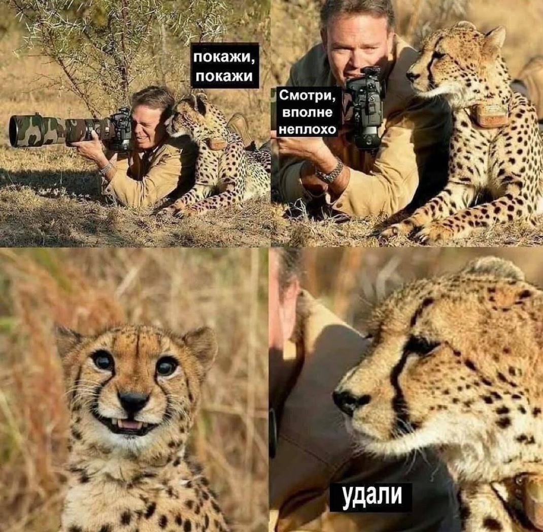 Красота как обязанность: Как культурные стереотипы разрушают нас изнутри