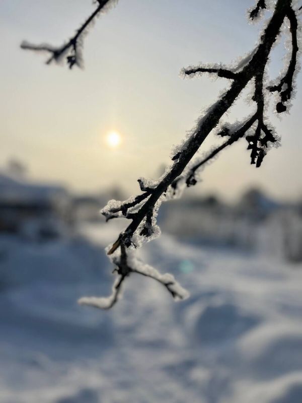 ��� ������� ����������� ������ ����: ������� ���������� �����