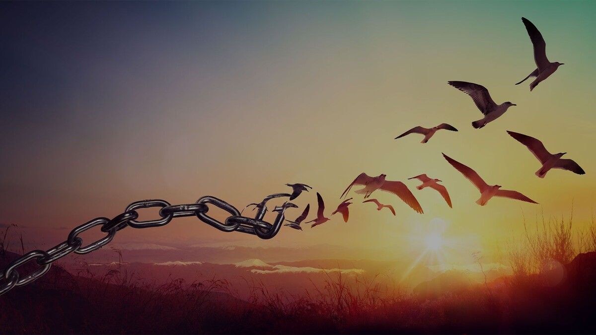 ��� ������������ �� �������: ��� ��������� ����