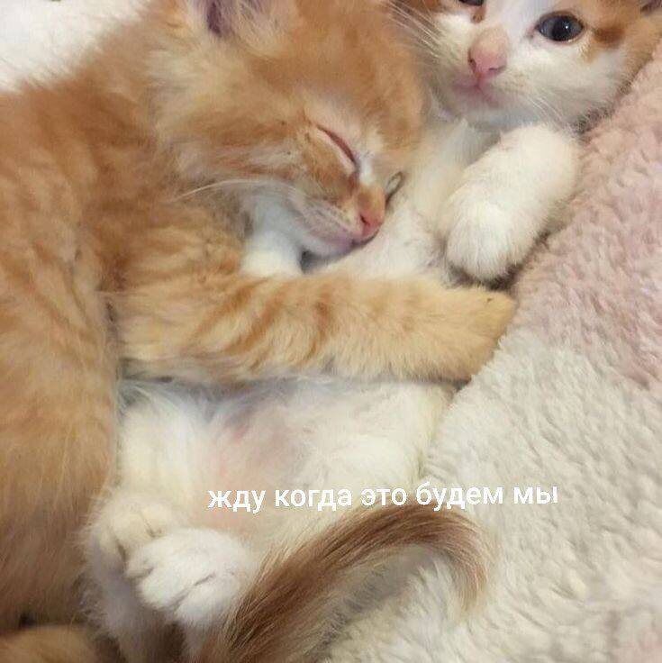 ������� � ������ �������: ��� ���������� ���� �������