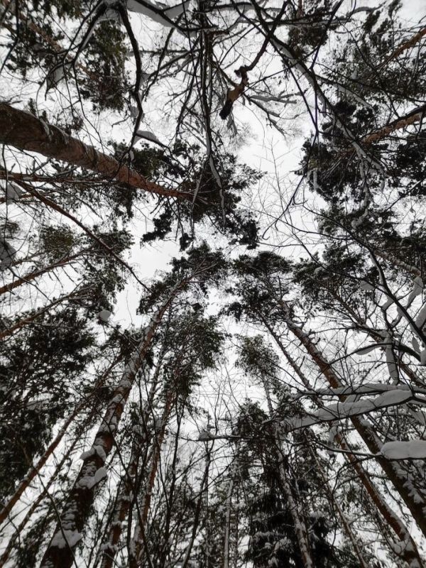 �������� ��� � ��������� ���������: ��� ����� ���� �����