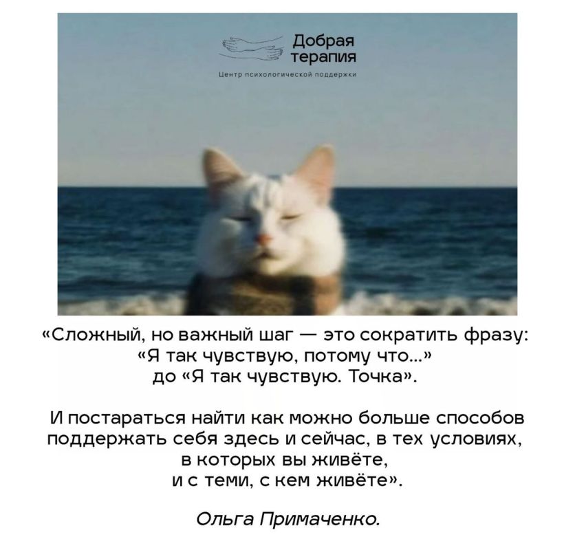 ������������: ���� � ��������� �������