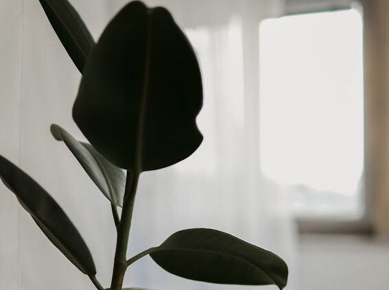 ������������ ���� � �������: ������ � �������