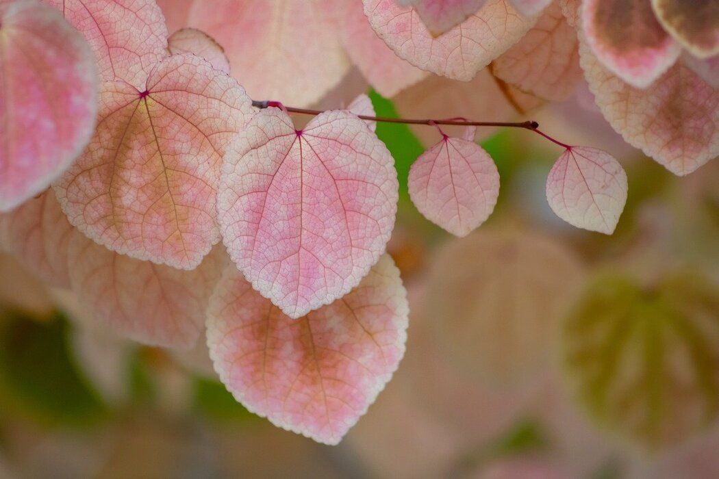 ��������� � �������: ����� � �������