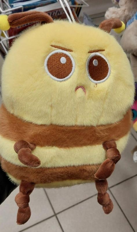 ��� ������� �������� ����������� � ���������� �����������