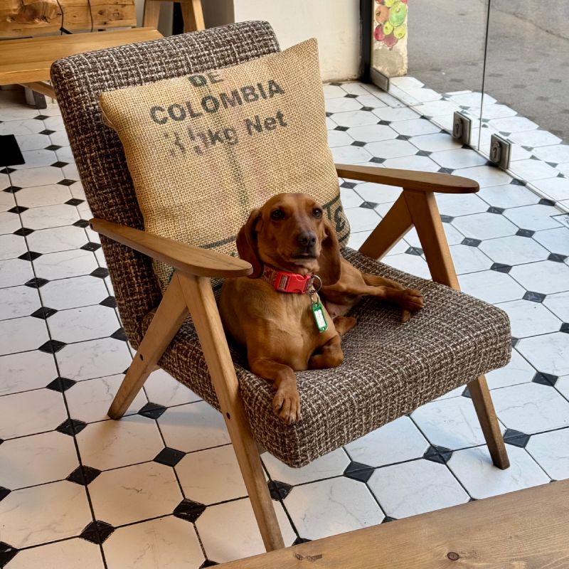 ����������� ������ ����� �� ��������: ��� ����������� �� ��������� ����������