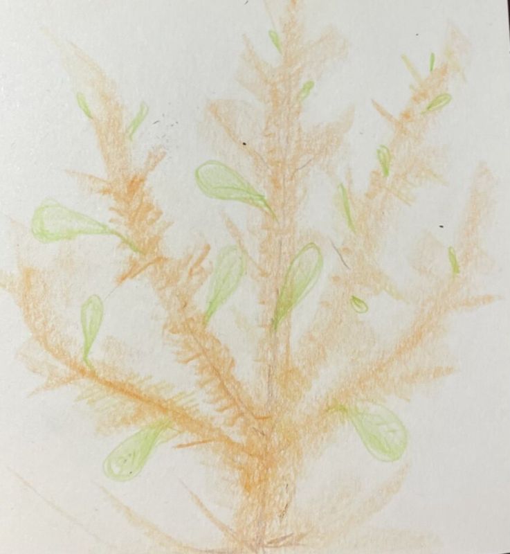 ��� ������, ��� �� ����� ��������: �������� �������� ��������