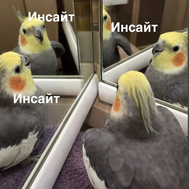 ����� ��������� ������: ��� ������� �� �������� � ���������