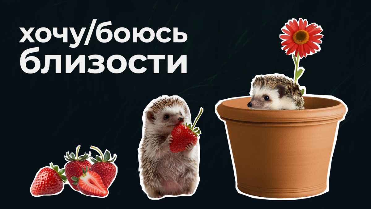 ��� ���������� ����� �������������: ��������� � ���� �������