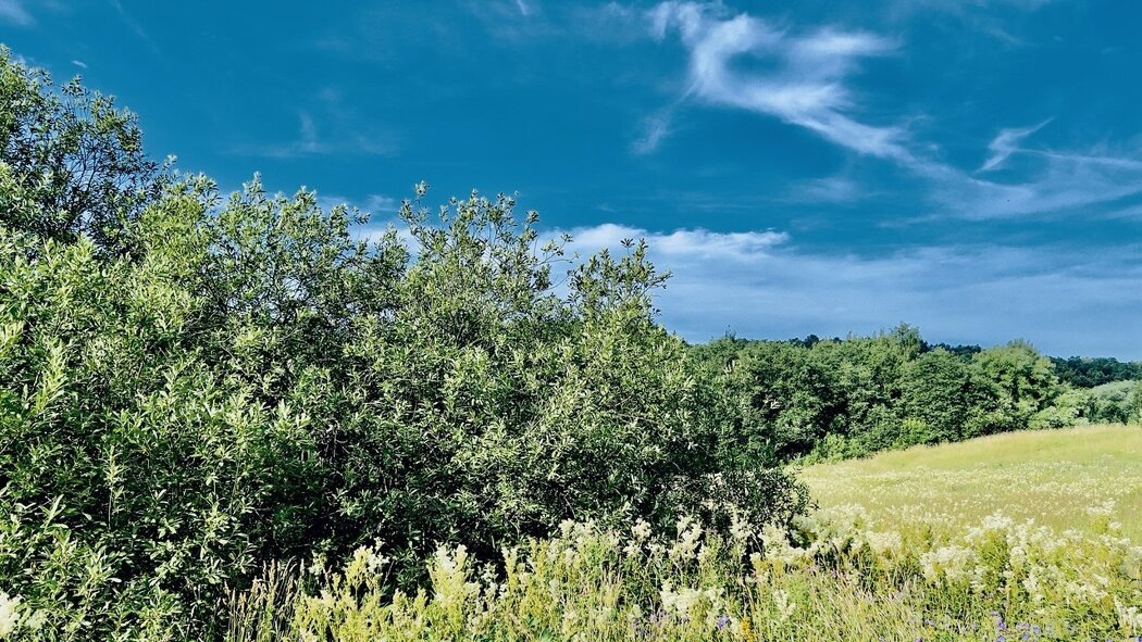 Личная сила: ключ к внутреннему равновесию и устойчивости