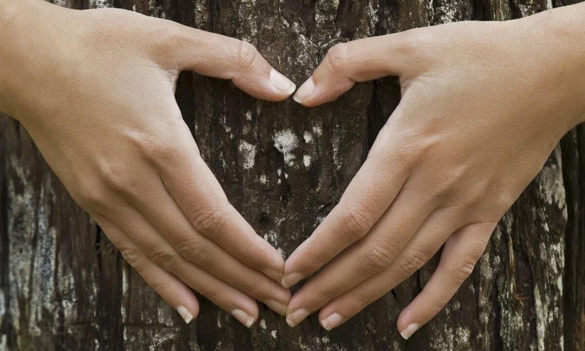 ���������������� ��������� ����� ����������� ��������� �� ����������