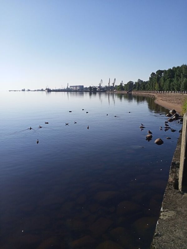 ��� ��������� �������� ����� ���������� �����������