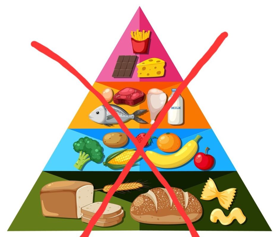 ����� ��������� ������� 2026 ����: ����������� � ����������� ���������