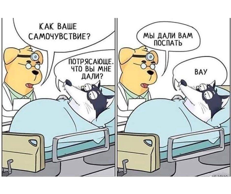 Почему мы предпочитаем домашние дела, даже когда не хотим: взгляд изнутри