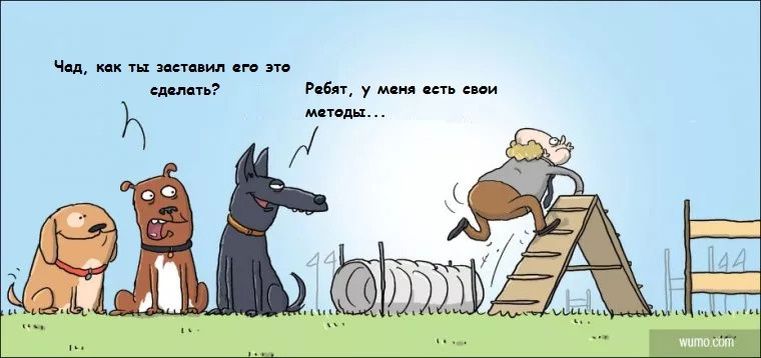 Психология поведения: регуляция вместо исправления