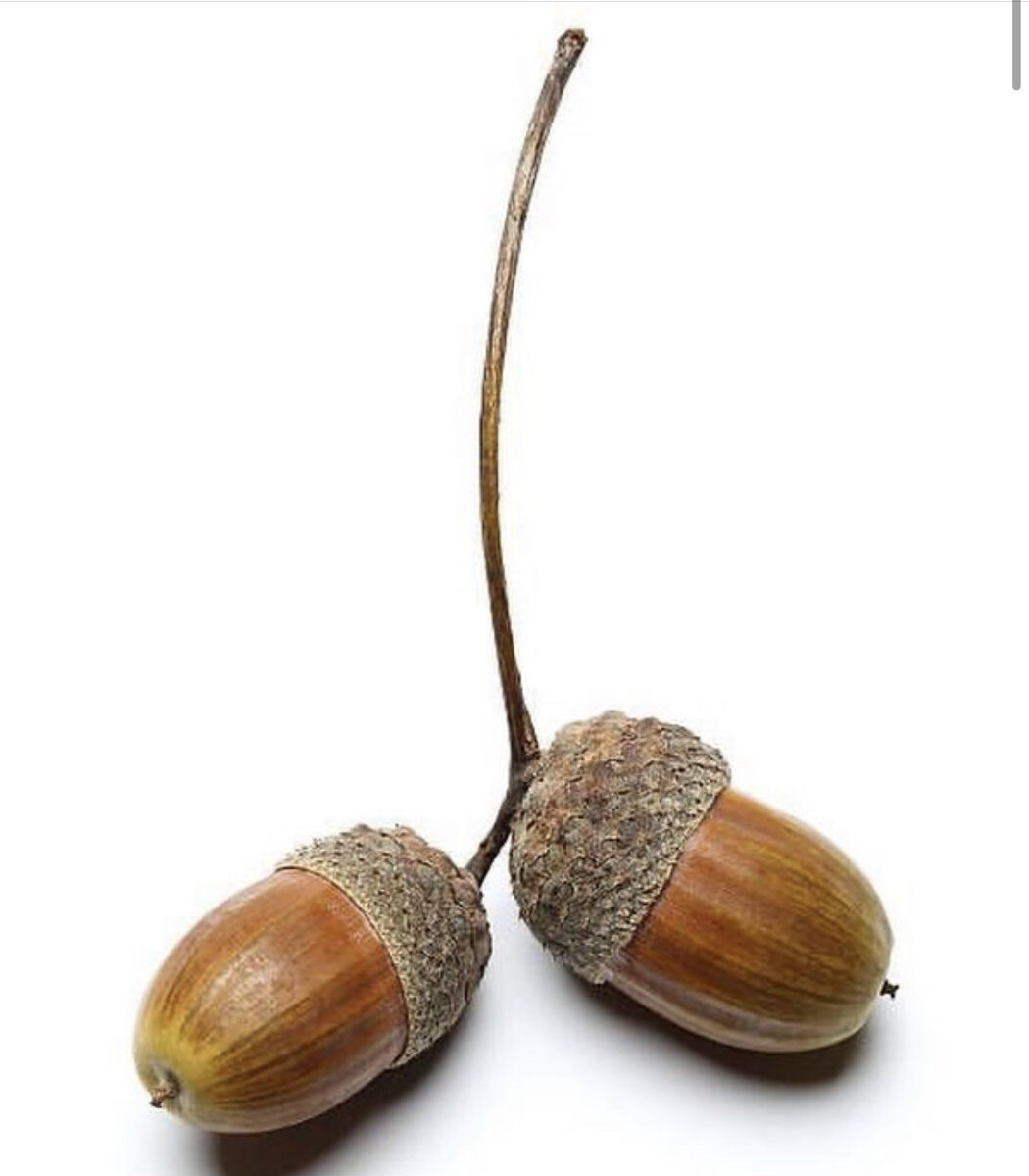 Почему самодостаточность — это не одиночество