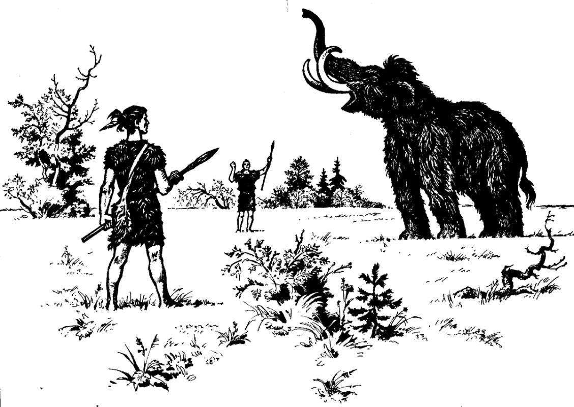 ������� �������: � ��� �������� � ��� ��� ��������?