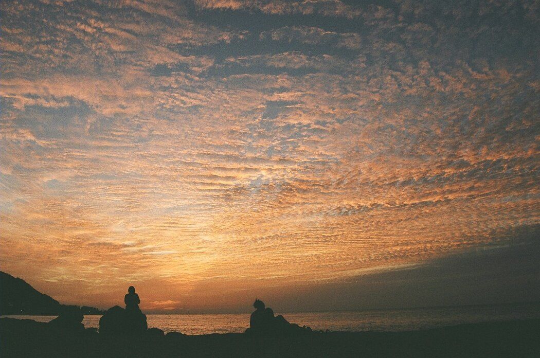 ��� ���� ���������� ������� ������ �� �������� �����