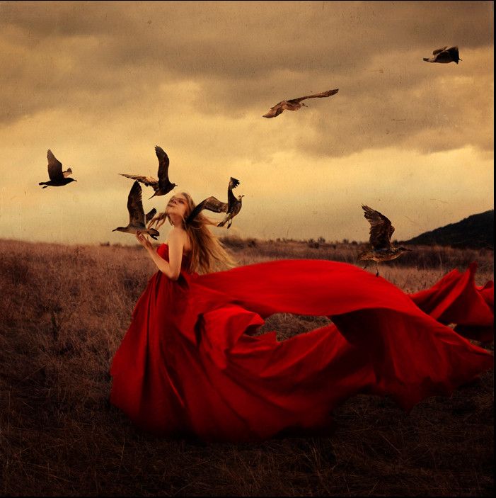 ��������� � ���� � ������������ ����������