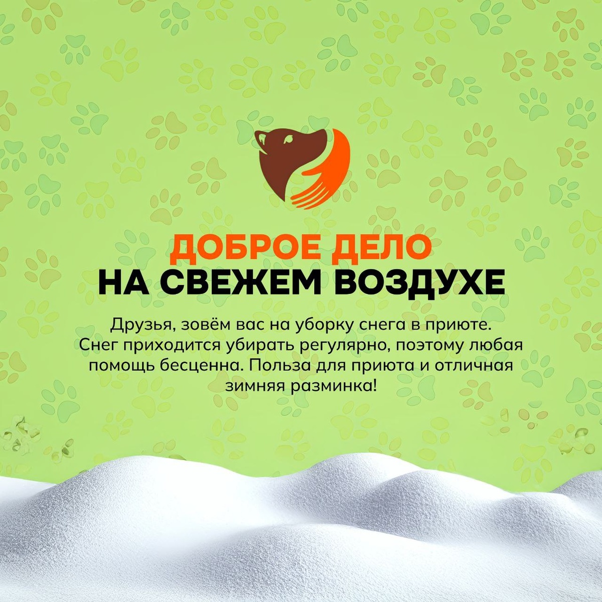 Любовь, которая не требует слов: День всех влюбленных для четвероногих друзей