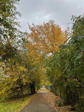 ����� ���� �� ������