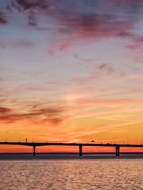 ������ ����������: �����, ������� ������� �����������