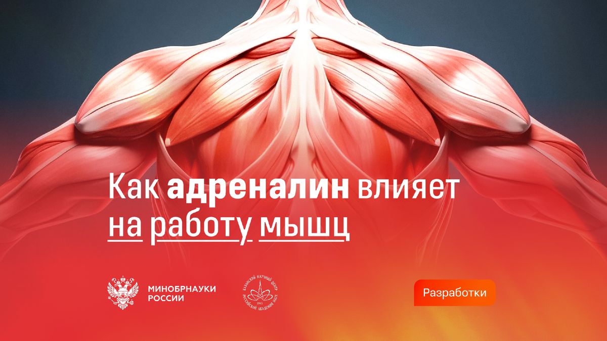 ������ ������� � �����: ����������� ���������� ������������