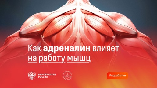 ������ ������� � �����: ����������� ���������� ������������