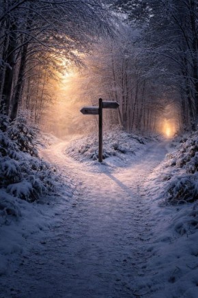 Зачем задавать вопросы себе: путь к истинному выбору