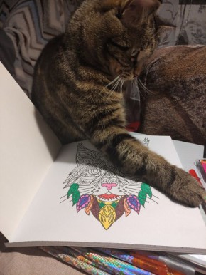 Что такое интерес и почему он важен для нас?