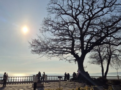 ��� ������������ �������� ��������� � ������� ����� ������