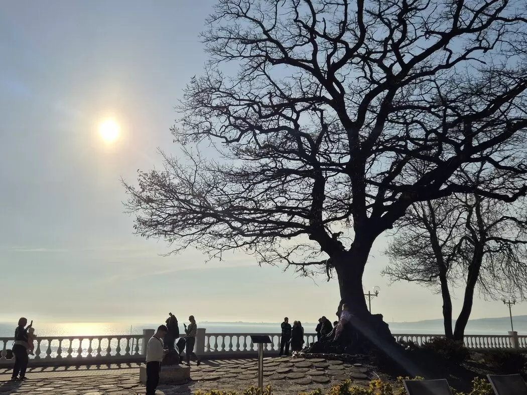 Как психотерапия помогает открыться и увидеть жизнь заново