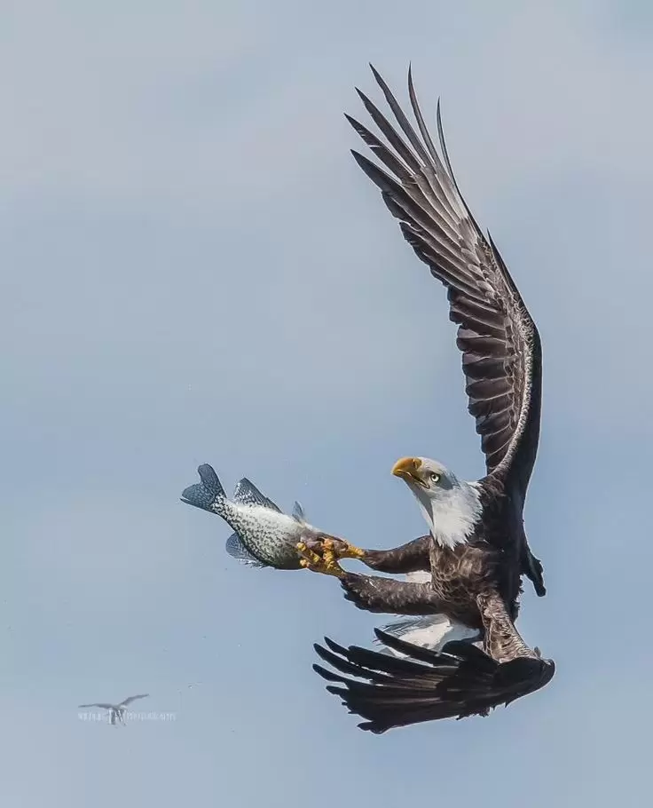 Как избежать манипуляций в трудные времена?