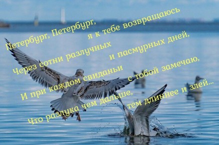 ������������ ��� ���� � ������������ � �������