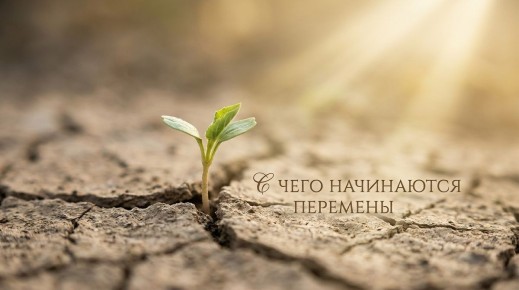 ������ ��� ������ ������ ����� �����?