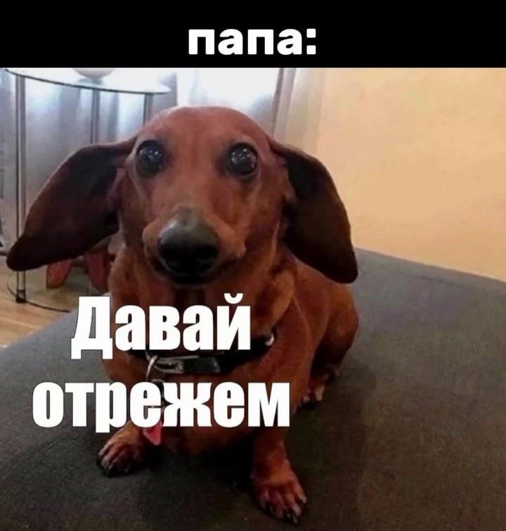 ��� ������������ ����� ����� ������: �������� ��������� �����