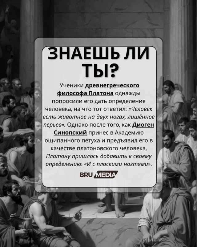 Философия в образовательной неделе: взгляд на будущее