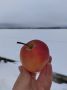 ��� ������ ��������� ���� ����� � ���������� ����