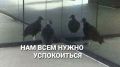 ����������� ������� ������ � ������������ � ����������� ����