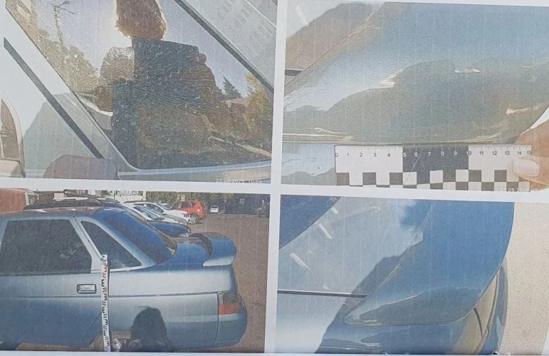 Курской суд разбирательство: травма автомобиля, покос травы и разногласия соседей